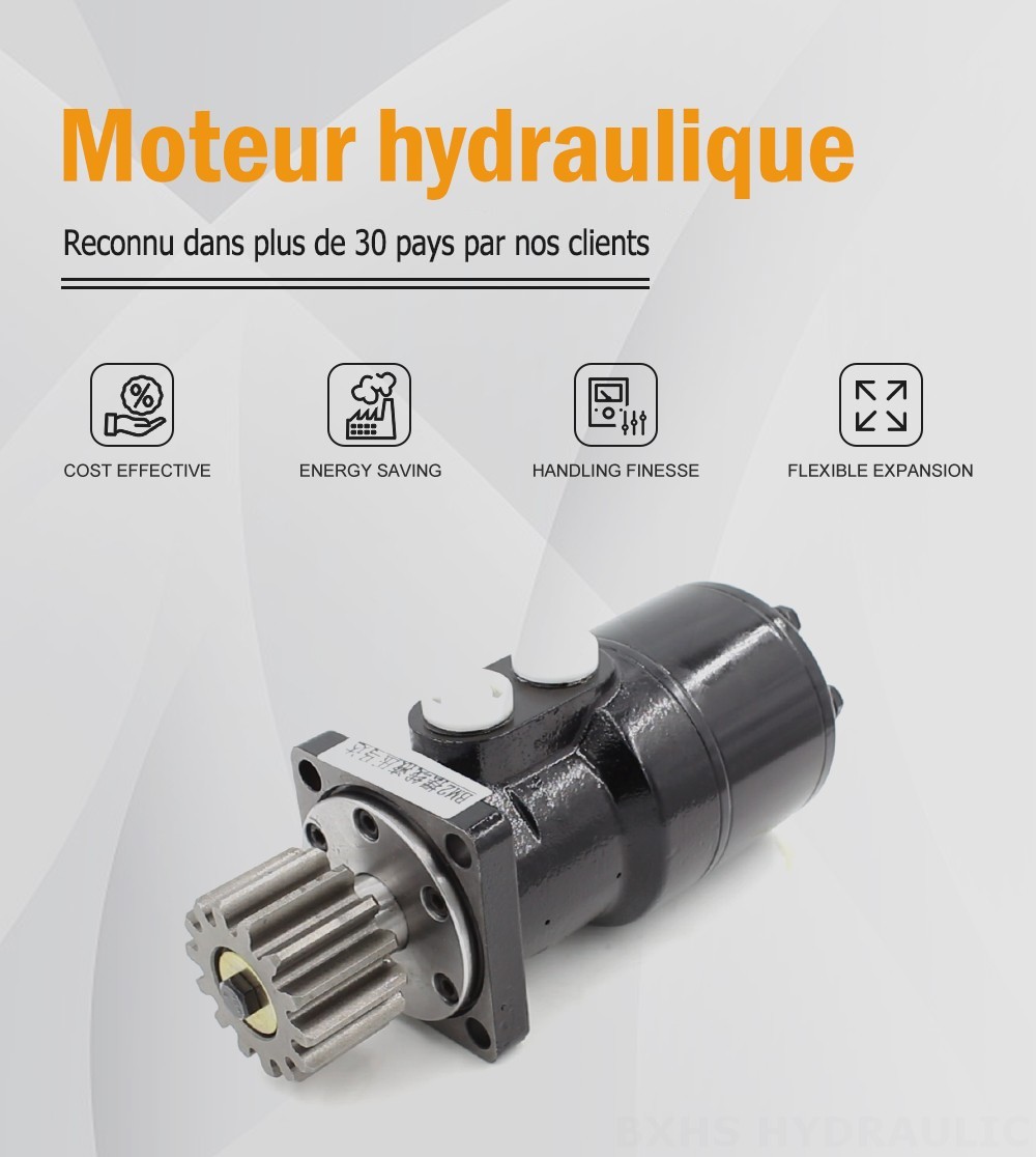 Moteur hydraulique cycloïdal BMR_Cycloid Hydraulic Motor-2 63 cm³/tr 53 L/min Moteur hydraulique